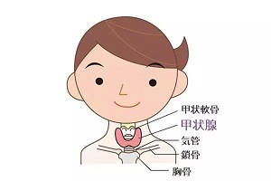 郑州治疗甲状腺癌的中医馆